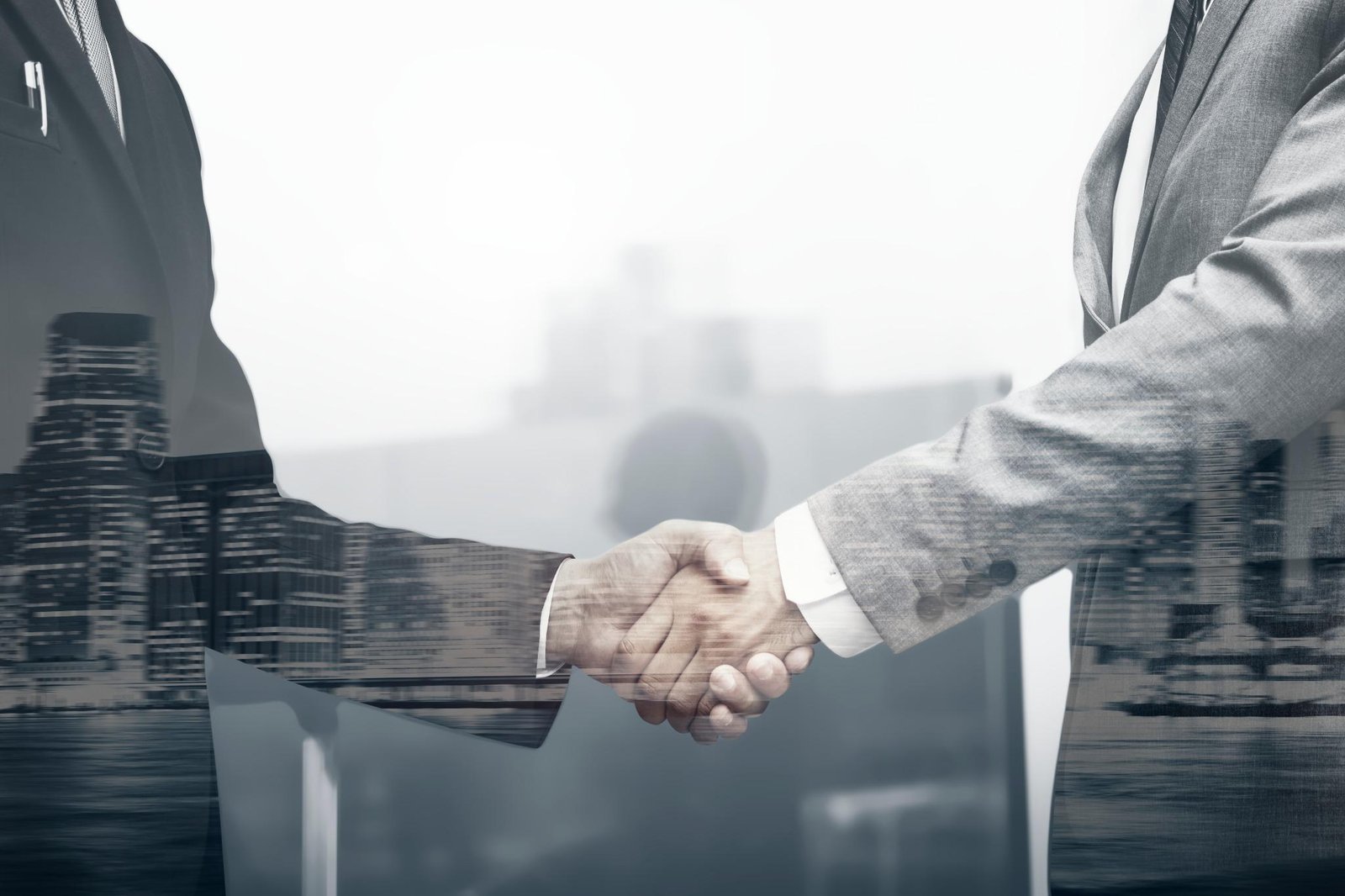 أصحاب العلامات التجارية نقل ملكية العلامة التجارية